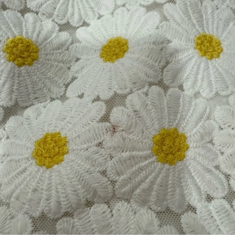 Gymboree daisy lace dress 2t